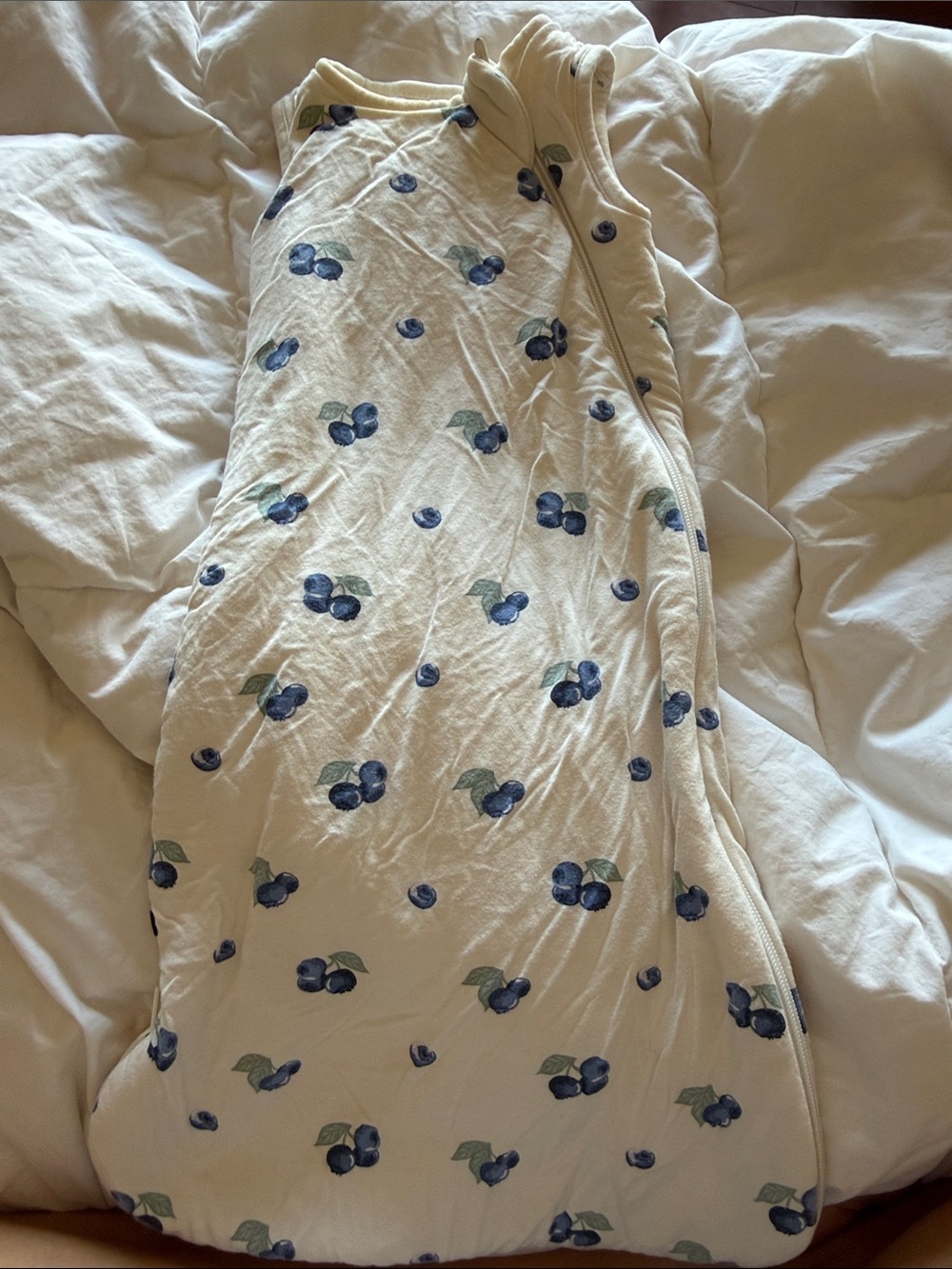 Kyte Baby Blueberry Sleep Sack